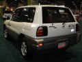 zdjęcie RAV4
