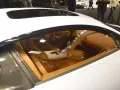 Bugatti Chiron Chiron — 21
