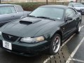 zdjęcie Mustang