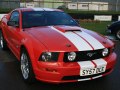 zdjęcie Mustang