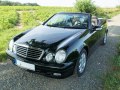 zdjęcie CLK