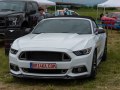 zdjęcie Mustang