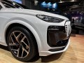 zdjęcie Q6 e-tron