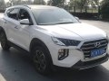Tucson III (facelift 2019, China)