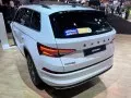 Skoda Kodiaq Kodiaq I (facelift 2021) — 11