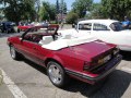 zdjęcie Mustang