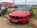 zdjęcie Mustang