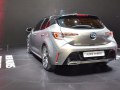 zdjęcie Auris