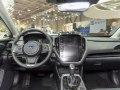 zdjęcie Crosstrek