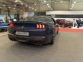 zdjęcie Mustang