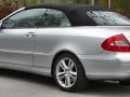 zdjęcie CLK