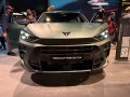 Cupra Terramar Terramar — 24