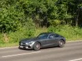 Mercedes-Benz AMG GT AMG GT (C190) — 14