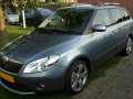 Skoda Fabia Fabia II Combi Scout (facelift 2010) — 3
