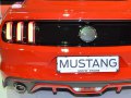 zdjęcie Mustang