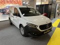 Citan II Panel Van (W420)