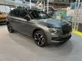 Skoda Kamiq Kamiq (facelift 2023) — 11