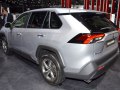 zdjęcie RAV4