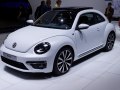 zdjęcie Beetle