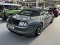 zdjęcie Mustang