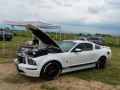 zdjęcie Mustang