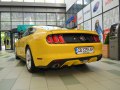 zdjęcie Mustang