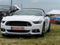 zdjęcie Mustang