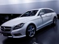 zdjęcie CLS