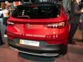Opel Grandland Grandland X — 9