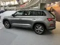 Skoda Kodiaq Kodiaq I (facelift 2021) — 15