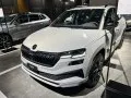 Skoda Karoq Karoq (facelift 2021) — 17