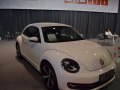 zdjęcie Beetle
