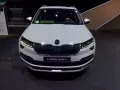 Skoda Karoq Karoq Scout — 9