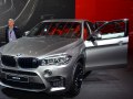 zdjęcie X6 M