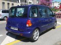 zdjęcie Multipla