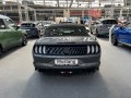 zdjęcie Mustang
