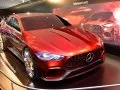 Mercedes-Benz AMG GT 4-Door Coupe AMG GT 4-Door Coupe Concept
