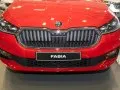 Skoda Fabia Fabia IV — 8