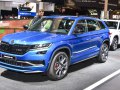 zdjęcie Kodiaq