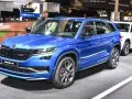 Skoda Kodiaq Kodiaq I — 12