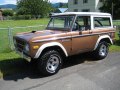 Bronco I