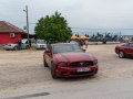 zdjęcie Mustang