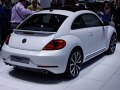 zdjęcie Beetle