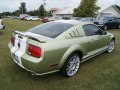 zdjęcie Mustang