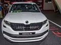 Skoda Kodiaq Kodiaq I — 25