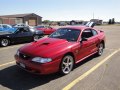 zdjęcie Mustang