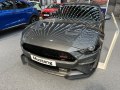 zdjęcie Mustang