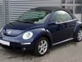 zdjęcie Beetle