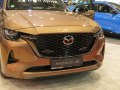 zdjęcie CX-80