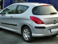 zdjęcie 308